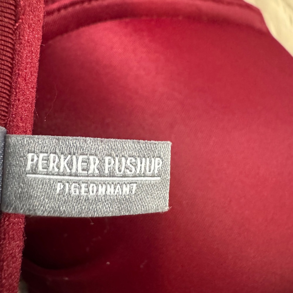 aerie Burgundy Push-Up Bikini Set - Picture 8 of 10